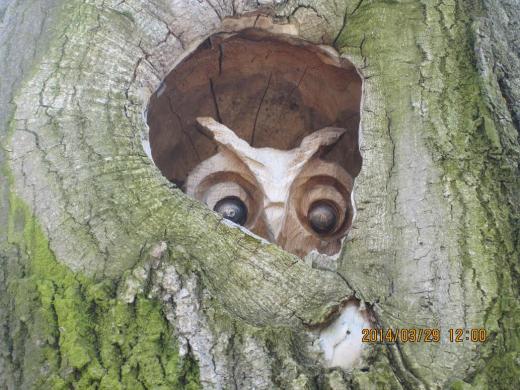 Was für ein verschmitzter Blick