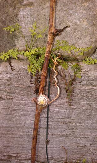 Kleine Schnecke