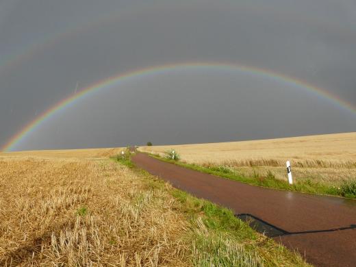 Regenbogenbrücke