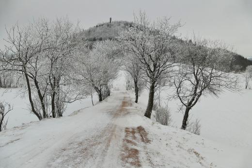 Geisingberg im Raureif