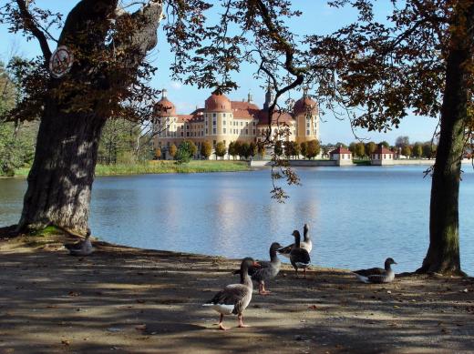 Moritzburg