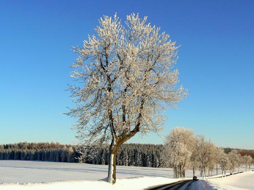 Verschneite Landschaft