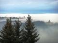 Nebel über Pesterwitz