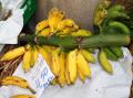 Madeira Bananen